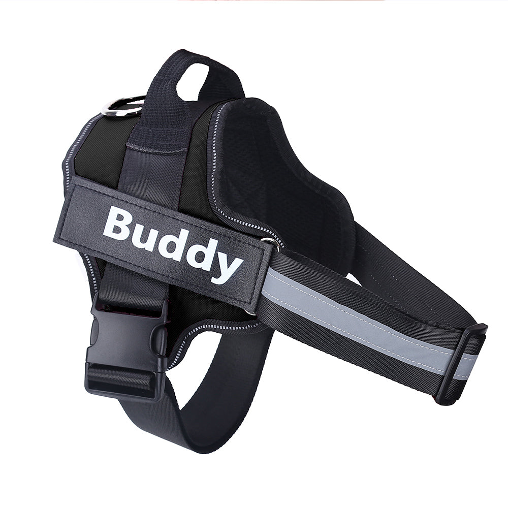 Personalized Dog Harness Keeps Pets Safe Comfortable Stylish On Every Walk