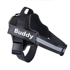 Personalized Dog Harness Keeps Pets Safe Comfortable Stylish On Every Walk