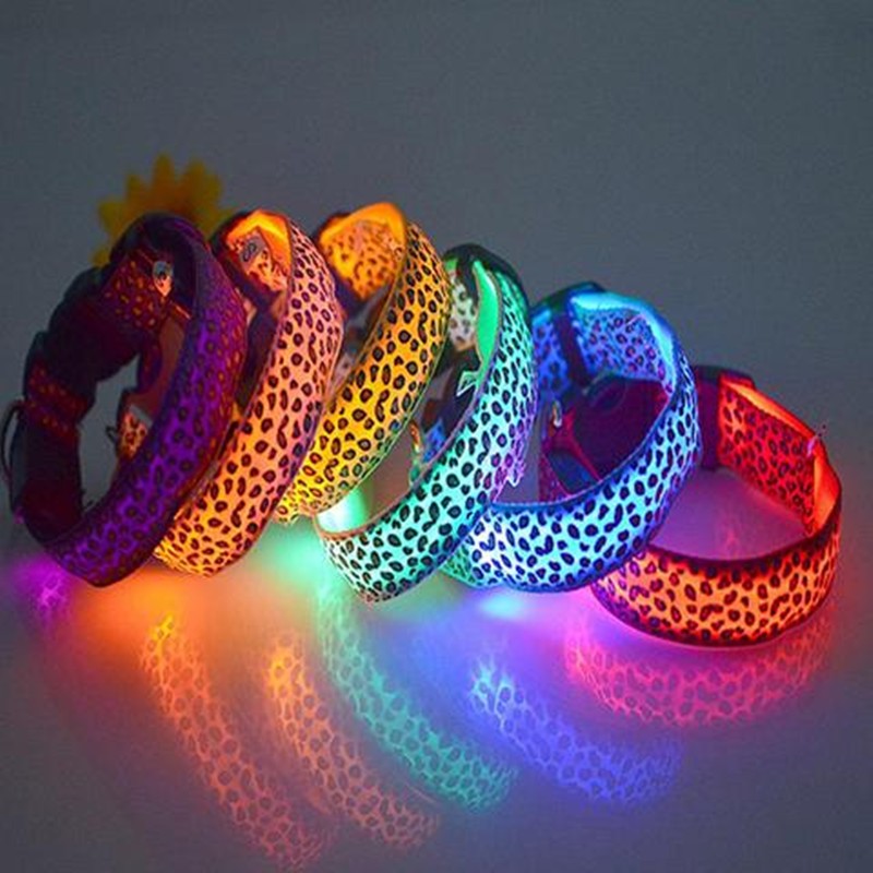 LED Dog Collar Keeps Pets Visible Safe During Night Walks