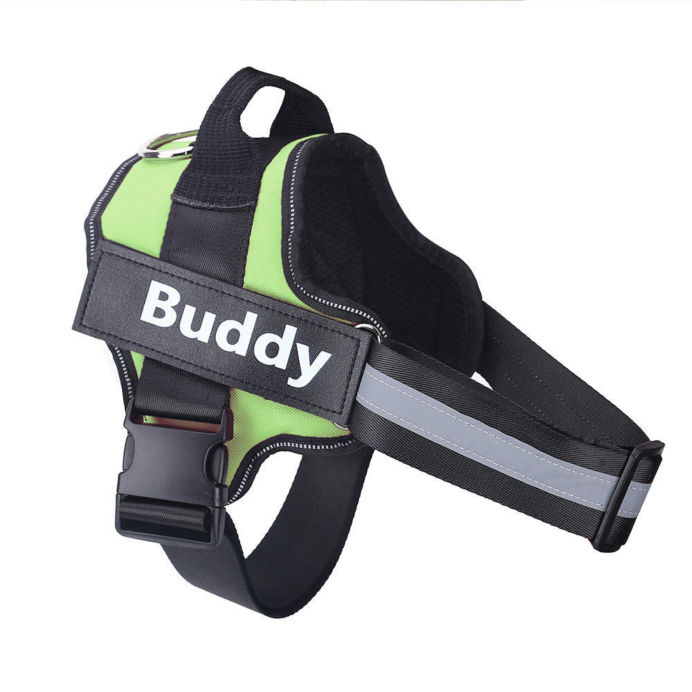 Personalized Dog Harness Keeps Pets Safe Comfortable Stylish On Every Walk