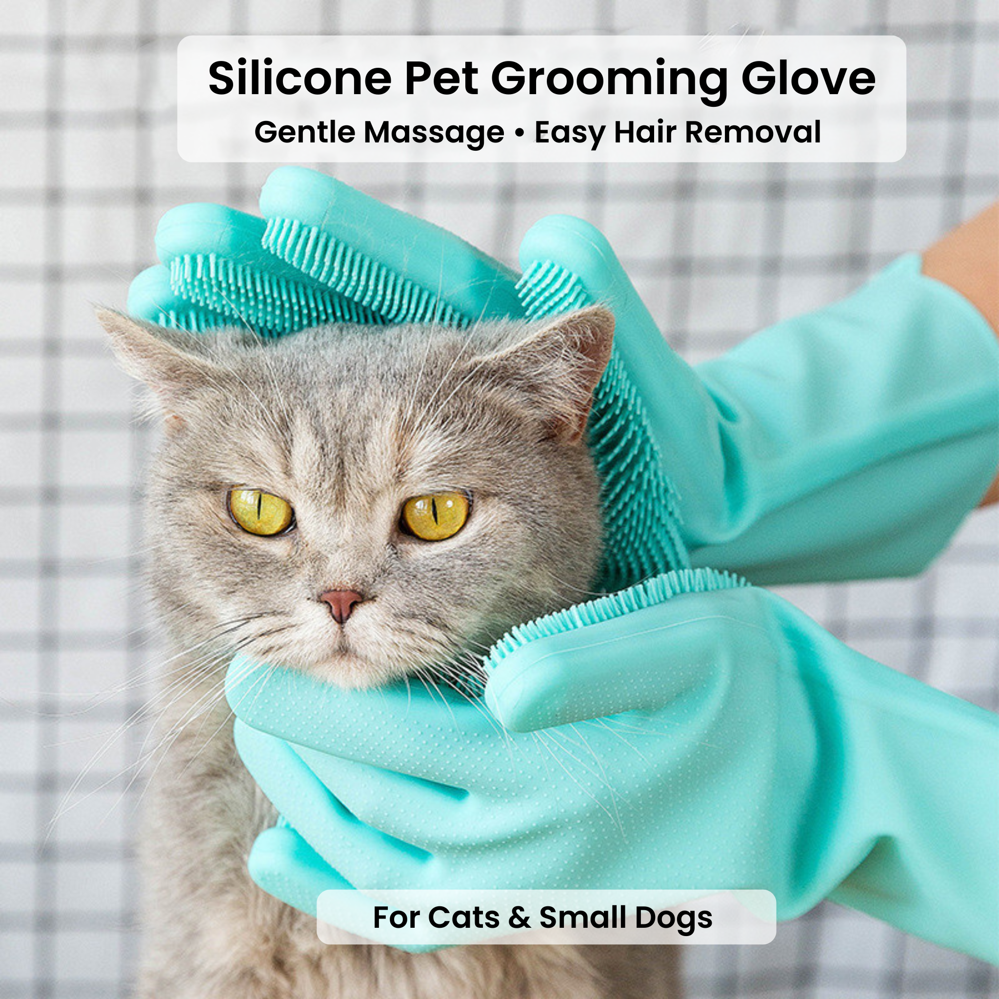 Gentle Grooming Glove for Dogs and Cats