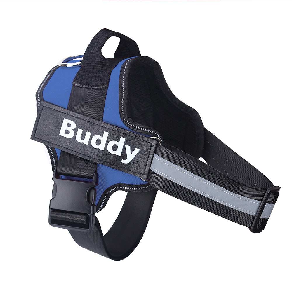 Personalized Dog Harness Keeps Pets Safe Comfortable Stylish On Every Walk