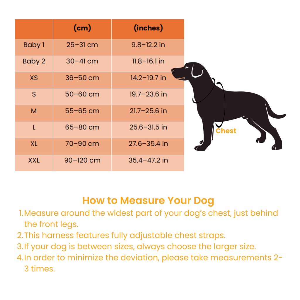 Personalized Dog Harness Keeps Pets Safe Comfortable Stylish On Every Walk