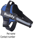 Personalized Dog Harness Keeps Pets Safe Comfortable Stylish On Every Walk