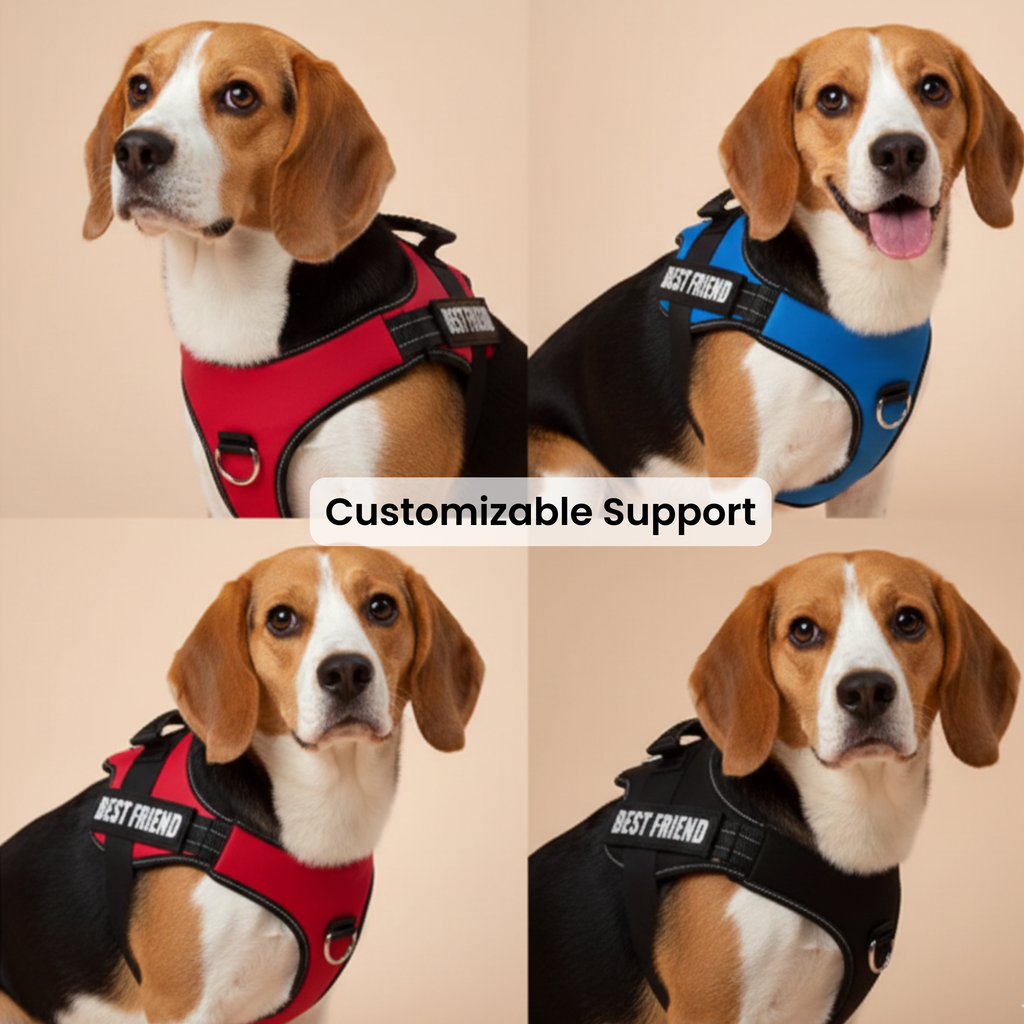 Personalized Dog Harness Keeps Pets Safe Comfortable Stylish On Every Walk