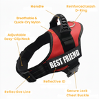 Personalized Dog Harness Keeps Pets Safe Comfortable Stylish On Every Walk