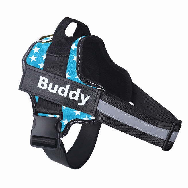 Personalized Dog Harness Keeps Pets Safe Comfortable Stylish On Every Walk