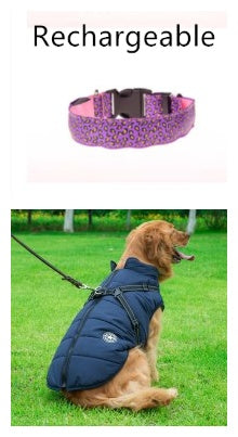 LED Dog Collar Keeps Pets Visible Safe During Night Walks