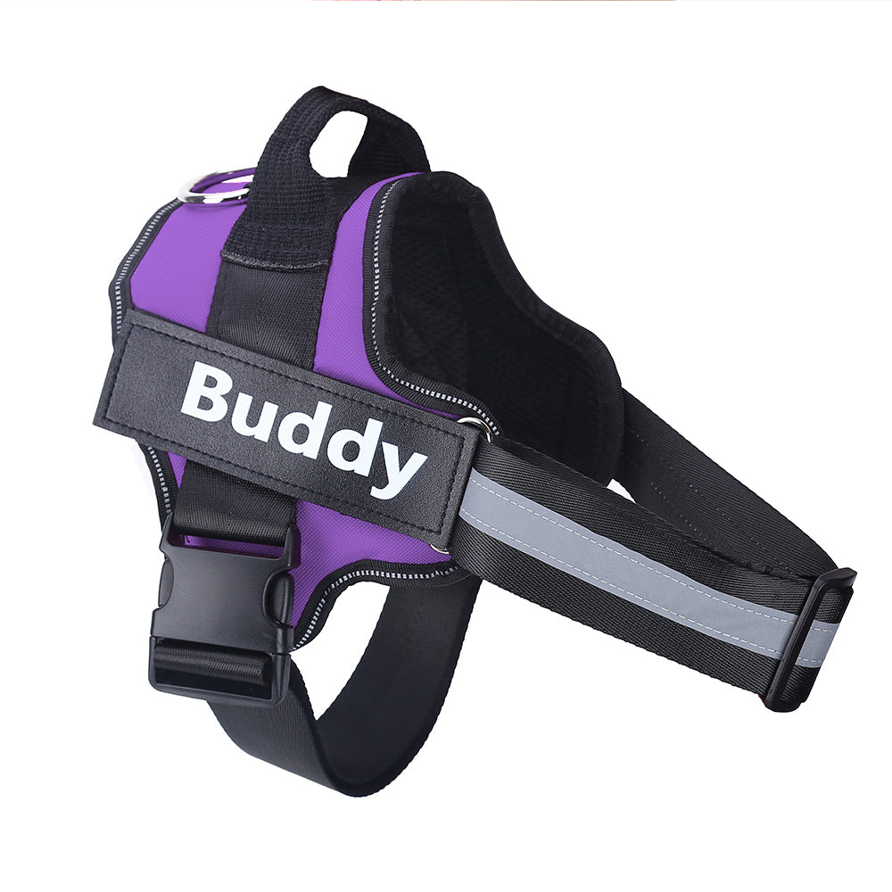 Personalized Dog Harness Keeps Pets Safe Comfortable Stylish On Every Walk