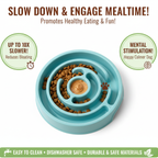 Healthy Eating Slow Feeder Bowl for Dogs