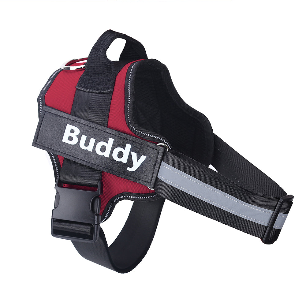 Personalized Dog Harness Keeps Pets Safe Comfortable Stylish On Every Walk