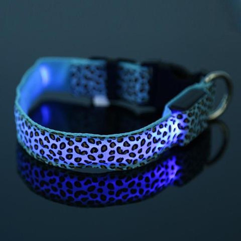 LED Dog Collar Keeps Pets Visible Safe During Night Walks