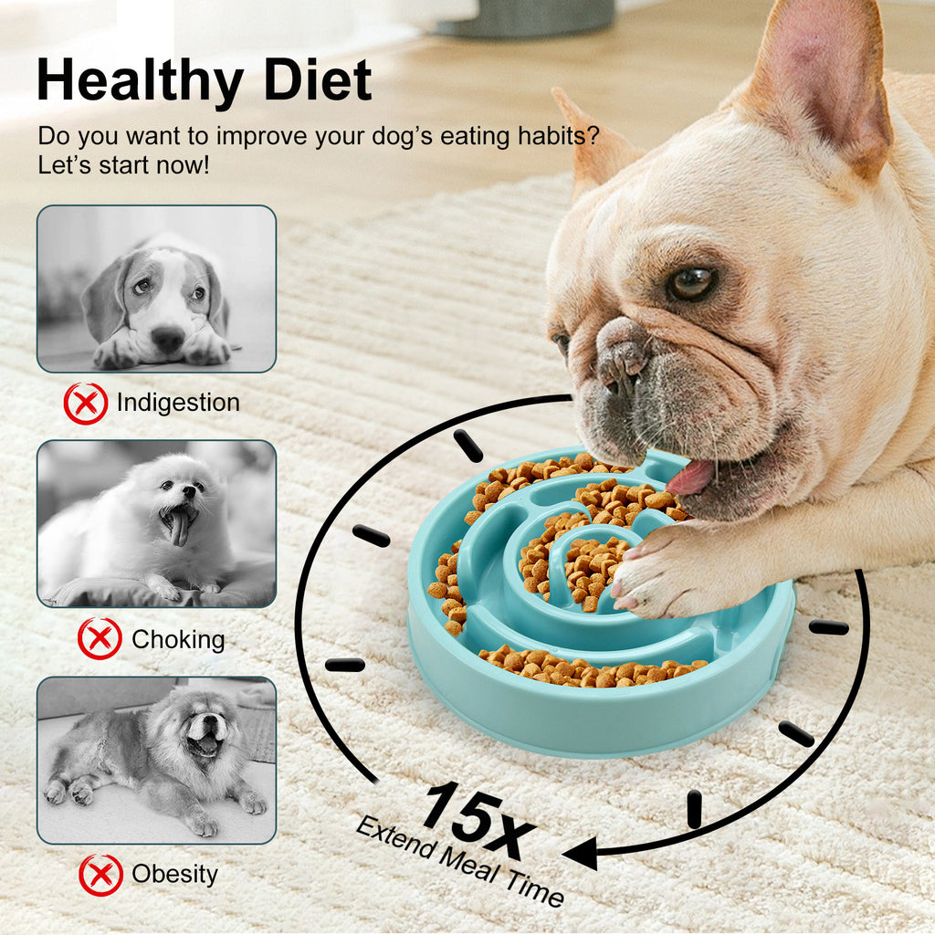 Healthy Eating Slow Feeder Bowl for Dogs