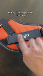 Personalized Dog Harness Keeps Pets Safe Comfortable Stylish On Every Walk